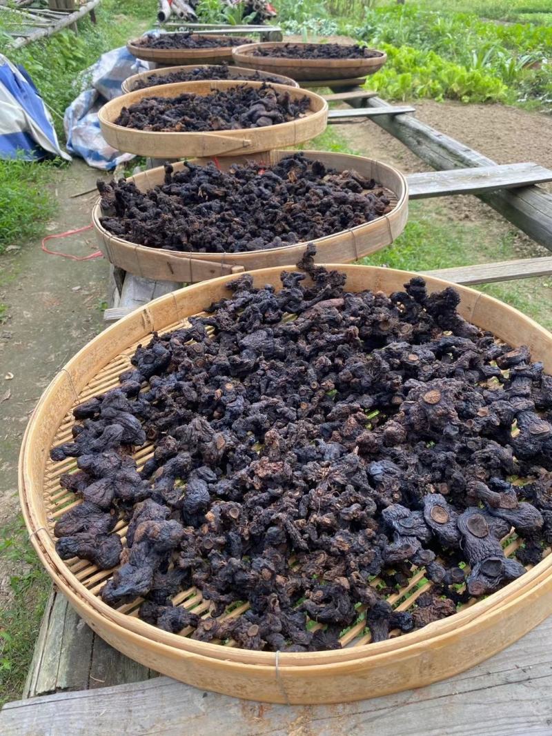 广西金秀大瑶山野生黄精九蒸九晒清香甘甜肉质嫩无添加