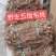 广西金秀大瑶山野生五指毛桃，自然晒干，无硫磺，够干净