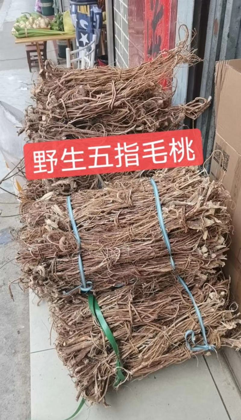 广西金秀大瑶山野生五指毛桃，自然晒干，无硫磺，够干净