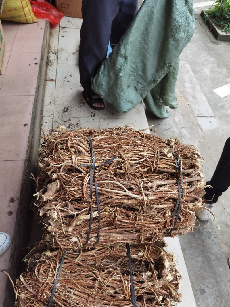 广西金秀大瑶山野生五指毛桃，自然晒干，无硫磺，够干净