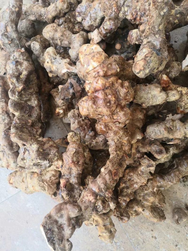 广西金秀大瑶山野生土茯苓干