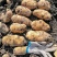 脱毒荷兰十五荷兰806黑龙江种薯基地种子耐储存抗病力强