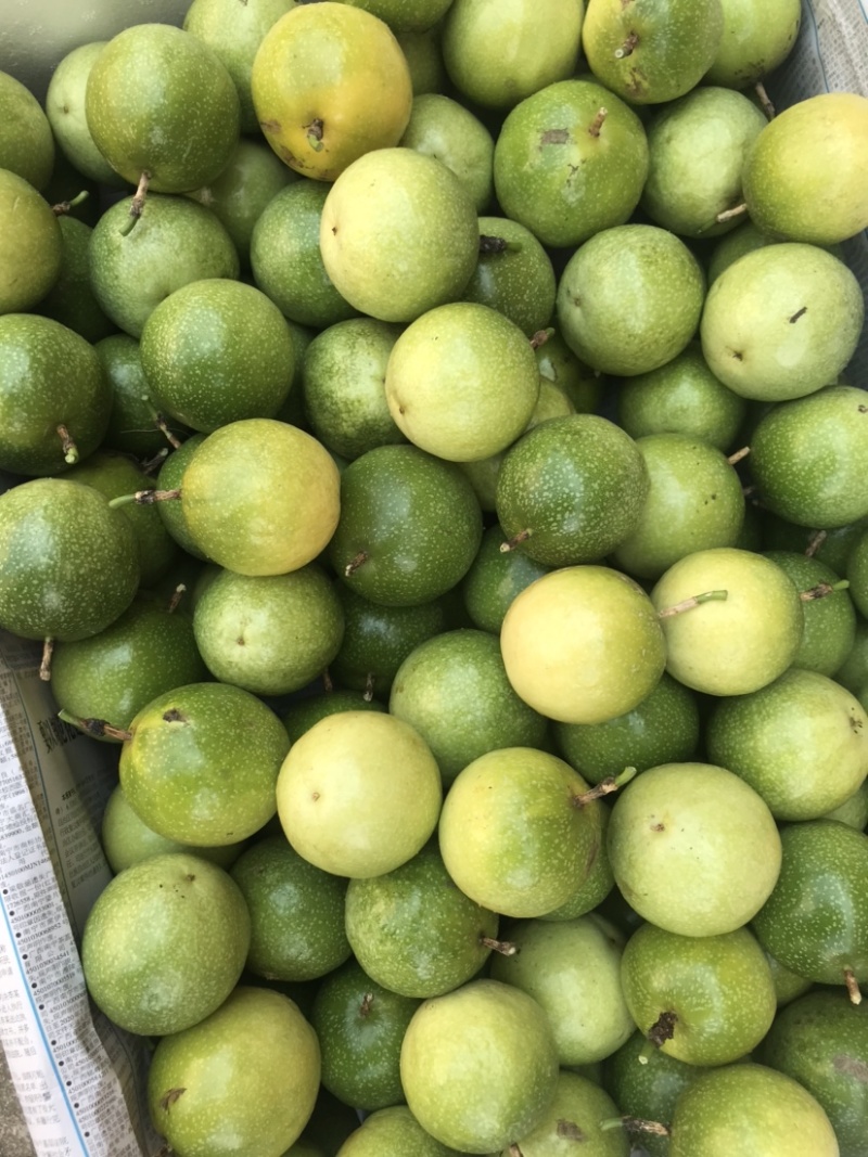 芭乐味黄金百香果，很甜的百香果，中果7-8-9个