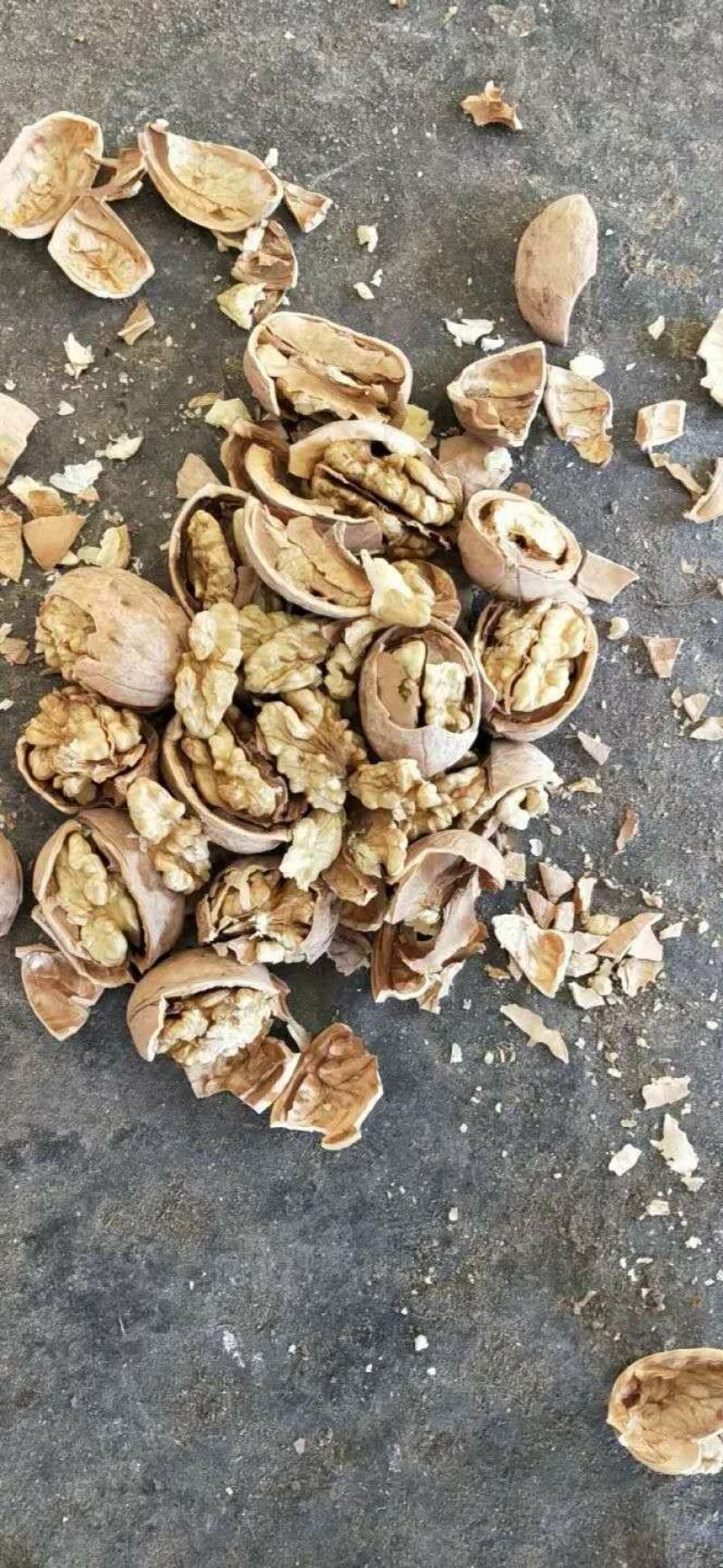 阿克苏薄皮核桃，阿克苏新二核桃，新疆纸皮核桃，产地发货