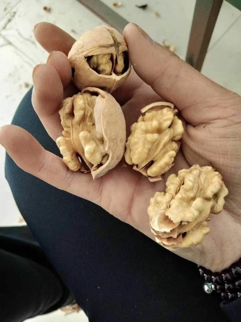 阿克苏薄皮核桃，阿克苏新二核桃，新疆纸皮核桃，产地发货