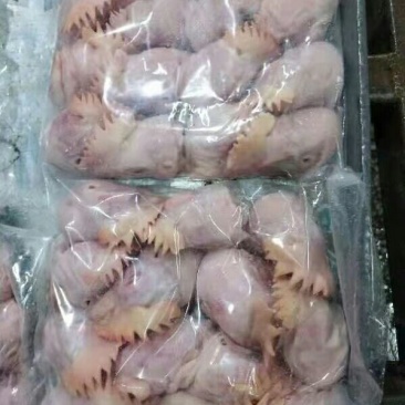 食用鸡头，价格美丽厂家直接发货需要的联系我