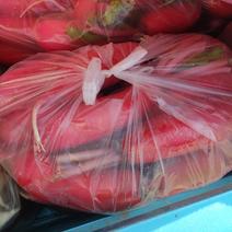 红皮萝卜，各种蔬菜。各种萝卜，大量出售，货源充足。精品红