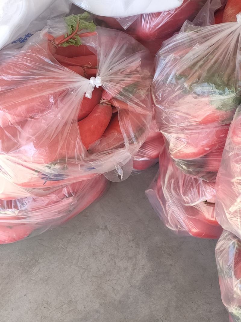 红皮萝卜，各种蔬菜。各种萝卜，大量出售，货源充足。精品红