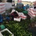 【推荐】山东鲜辣椒圆椒产地直发大量上市规格齐全