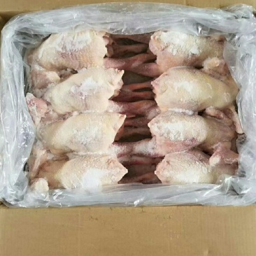 老母鸡，价格美丽厂家直接发货需要的联系我