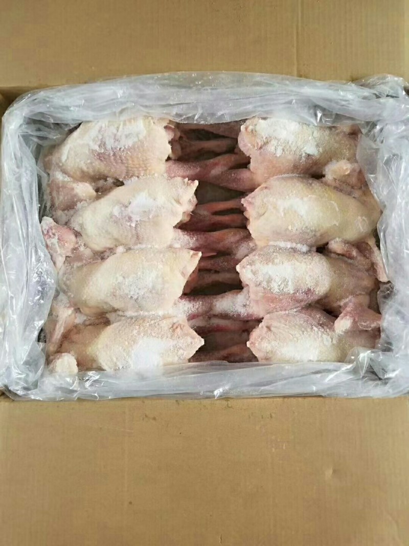 老母鸡，价格美丽厂家直接发货需要的联系我