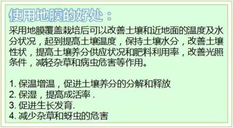 银黑地膜，农用地膜，保温，保湿种菜，种瓜，豆角类的好帮手