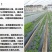 银黑地膜，农用地膜，保温，保湿种菜，种瓜，豆角类的好帮手