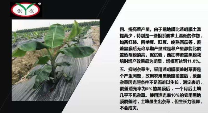 银黑地膜，农用地膜，保温，保湿种菜，种瓜，豆角类的好帮手