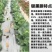银黑地膜，农用地膜，保温，保湿种菜，种瓜，豆角类的好帮手
