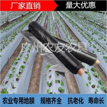 银黑地膜，农用地膜，保温，保湿种菜，种瓜，豆角类的好帮手