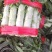 红叶香莴苣精品窝笋大量上市，电商货，市场货，欢迎下单