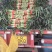 红叶香莴苣精品窝笋大量上市，电商货，市场货，欢迎下单