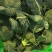 西兰花，精品小米。全天不限量，大量供应中！