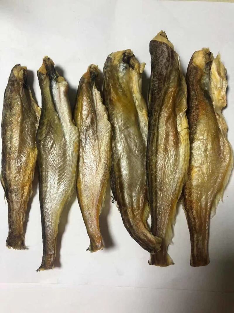 跑地摊江湖热卖深海小龙鱼