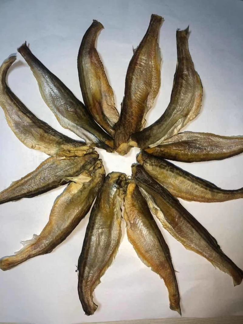 跑地摊江湖热卖深海小龙鱼