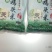 苏南特产新鲜鸡头米，原产地直发，质量有保证，欢迎咨询