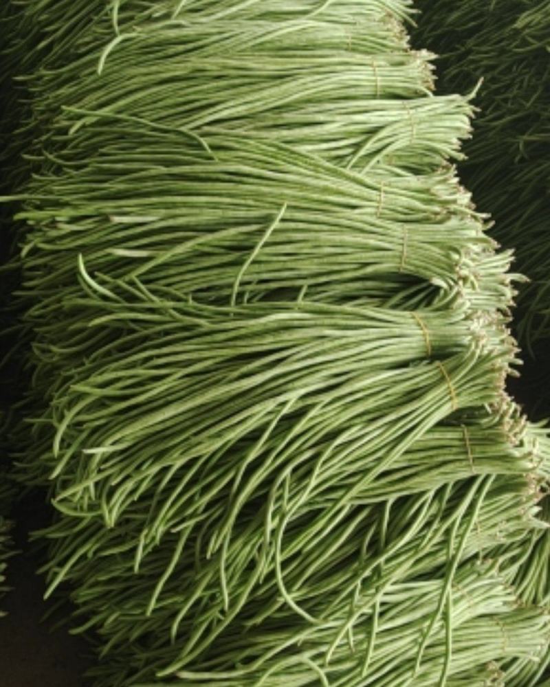 云南豇豆大量上市大量供应可产地看货
