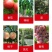 大量元素高钾型13-6-40水溶肥膨果转色甜度高