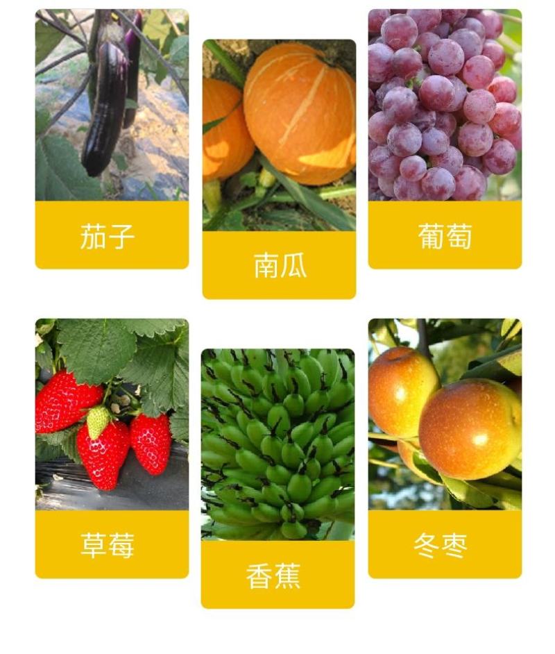 含甲壳素水溶肥料高氮高钾型20-10-30(膨果型)