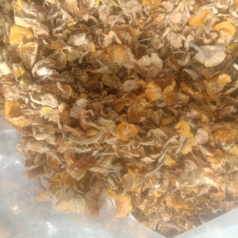 小黄蘑，小灰蘑，小喇叭蘑，承德特产，各种小杂蘑，一手货源