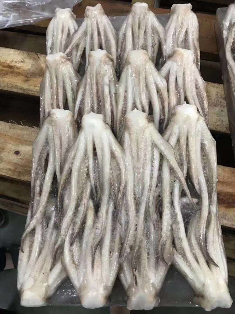 北海特产，鱿鱼头，个头大，味道正，