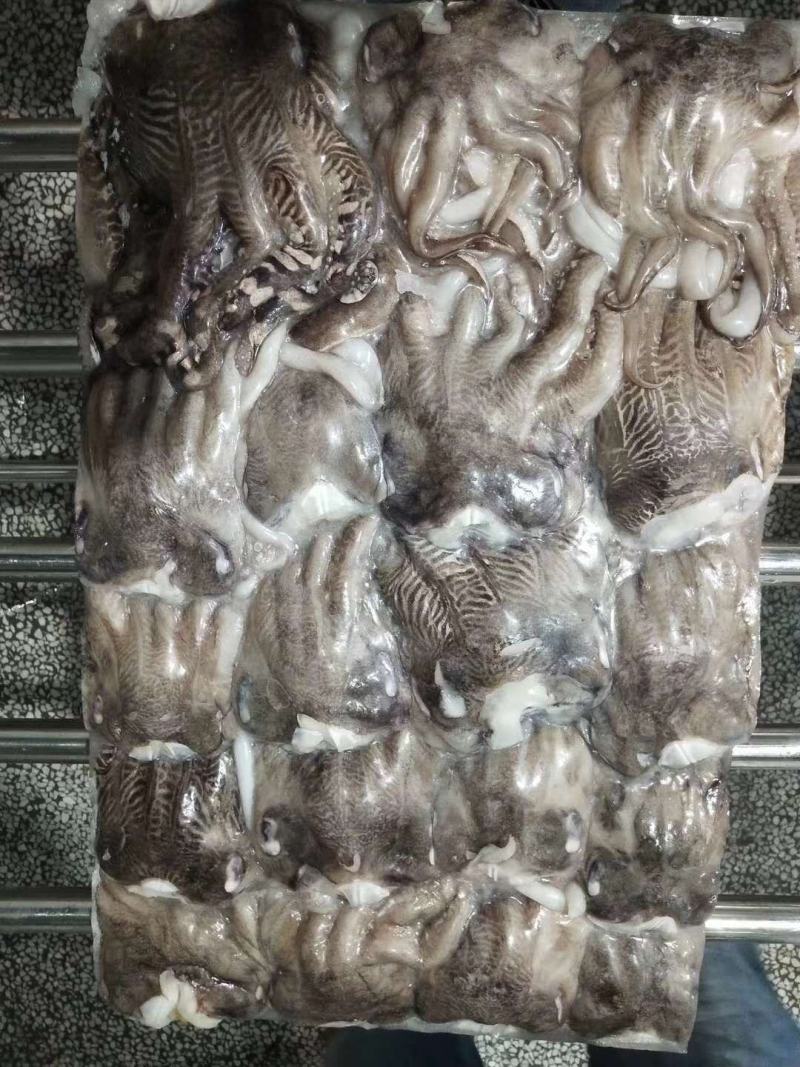 北海特产，鱿鱼头，个头大，味道正，