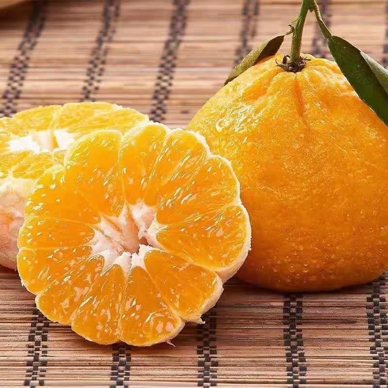 丑八橘/不知火/耙耙柑/大量供应农一手好货
