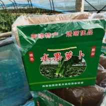 武清区田水铺脆甜萝卜