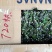 嫁接湘蕾金银花青头苗，金银花苗，品种好存活率高