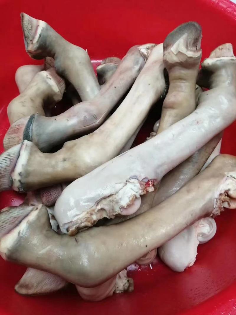 驴蹄子，水褪毛驴蹄，水褪干净，现杀现宰现货供应