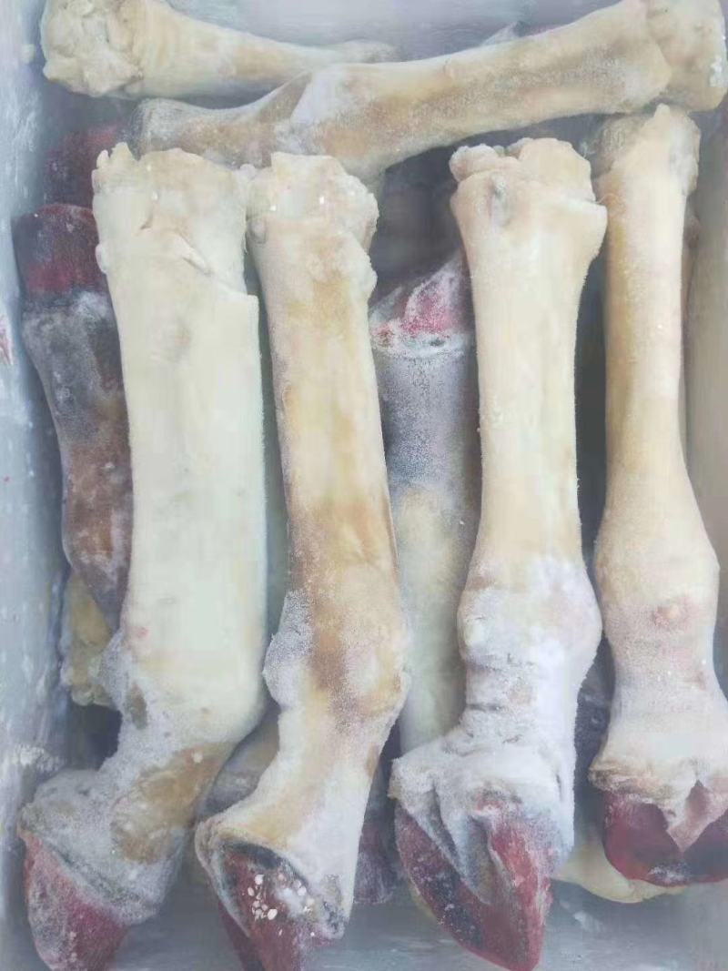 驴蹄子，水褪毛驴蹄，水褪干净，现杀现宰现货供应