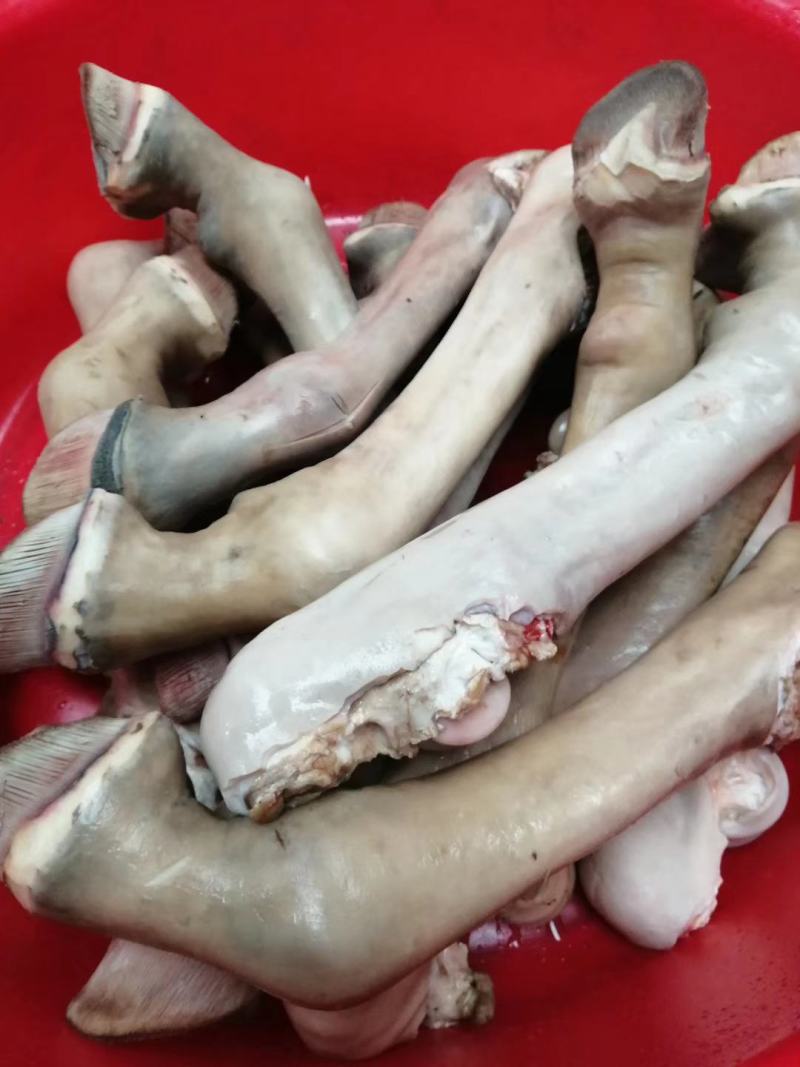 驴蹄子，水褪毛驴蹄，水褪干净，现杀现宰现货供应