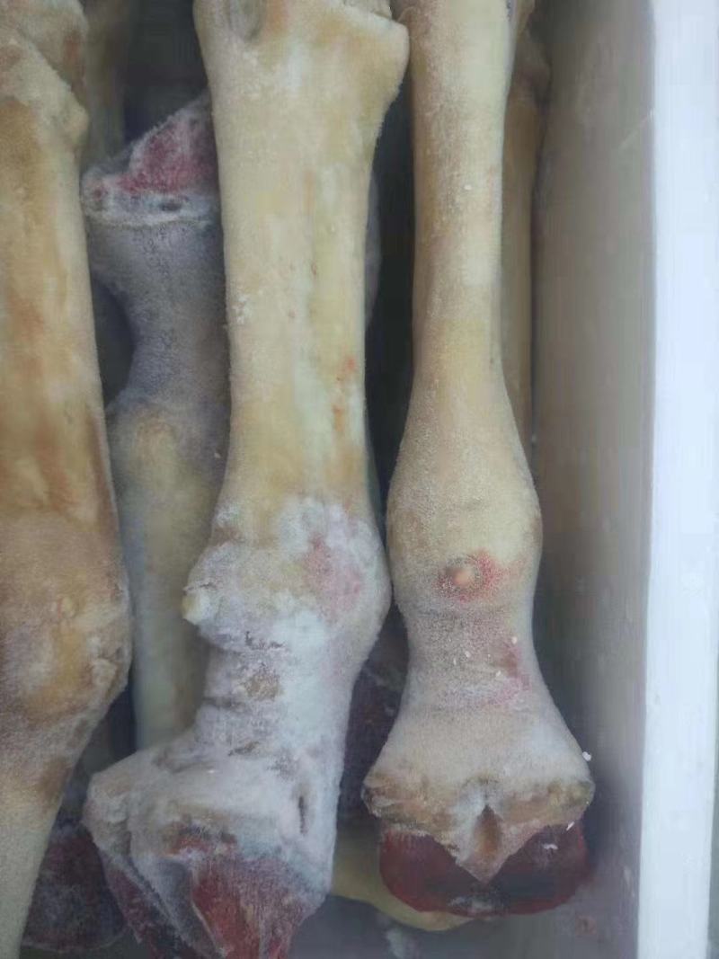 驴蹄子，水褪毛驴蹄，水褪干净，现杀现宰现货供应
