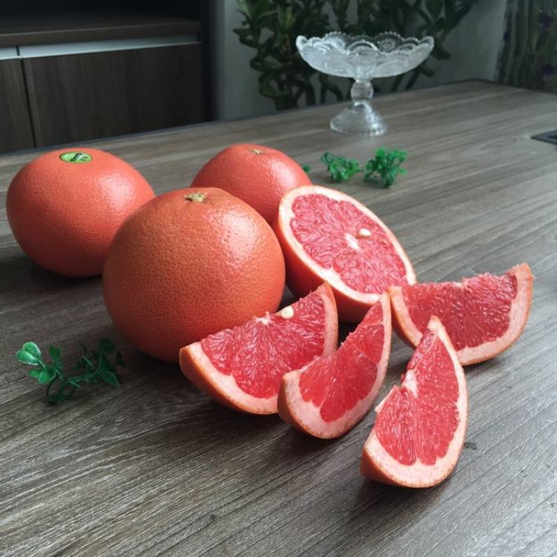 红宝石葡萄柚苗，甜度高，市场新宠，可规模种植