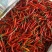 小米椒【精品】辣椒，线椒青椒301。