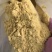 蒲黄蒲黄实物拍摄保庆药材批发中药材蒲黄