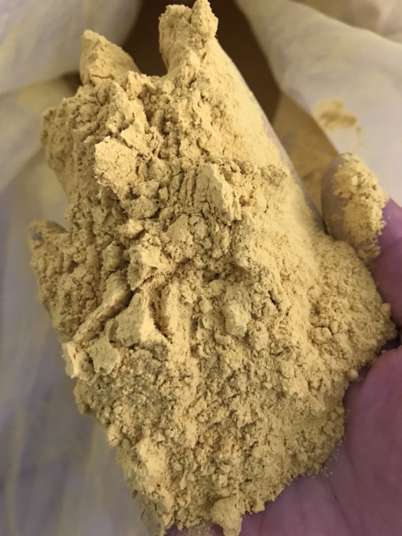 蒲黄蒲黄实物拍摄保庆药材批发中药材蒲黄