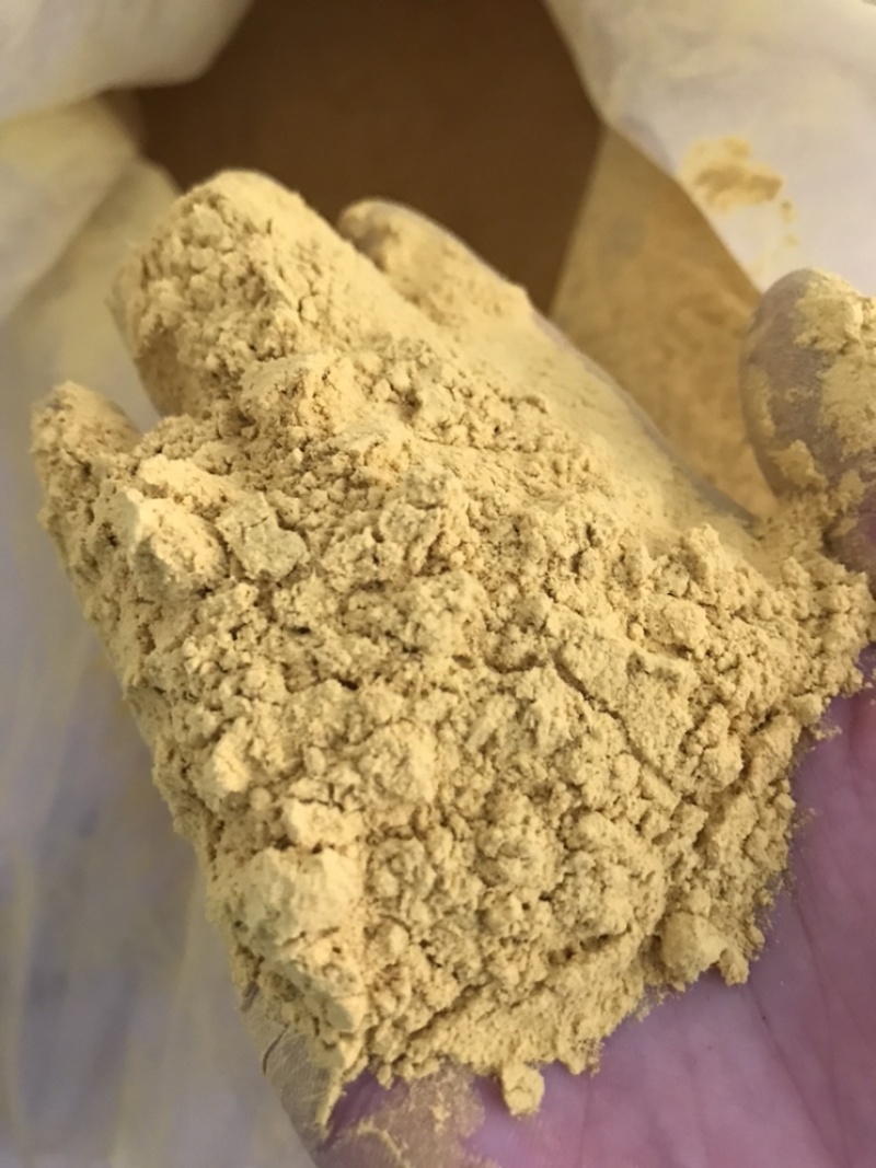 蒲黄蒲黄实物拍摄保庆药材批发中药材蒲黄