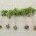 金桂四季桂银桂桂花树苗品种全，现挖现发，成活率高