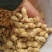 鲜花生，最后的发财机会，价格不高