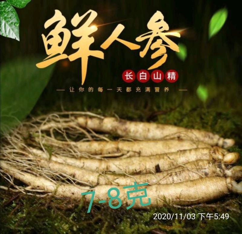 6-8年长白山鲜参10支一斤，保证质量包破损下单秒发货