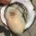 北部湾厚壳脆口生蚝（2.7两-4两/个）