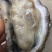 北部湾厚壳脆口生蚝（2.7两-4两/个）