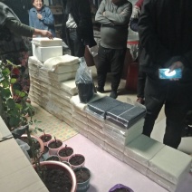 五常大米，香米，稻花香二号，长粒香